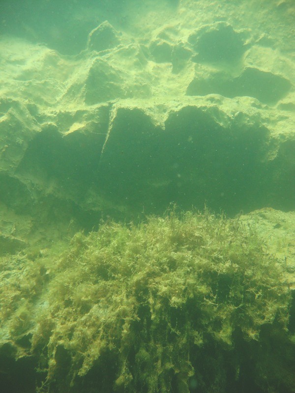 Мраморный риф.15/08/10 Мраморный риф.15/08/10