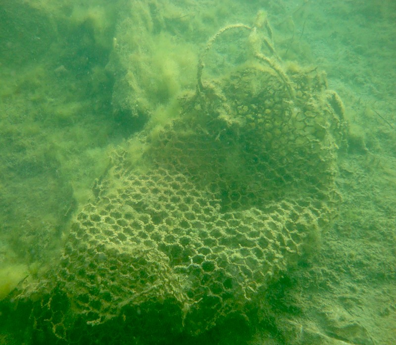 Сетка (для чего?). Артефакты Мраморного карьера. 15/08/10 Сетка (для чего?). Артефакты Мраморного карьера. 15/08/10