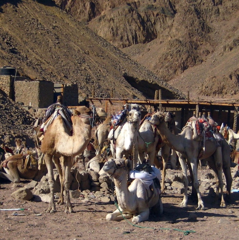 Дахаб однако.