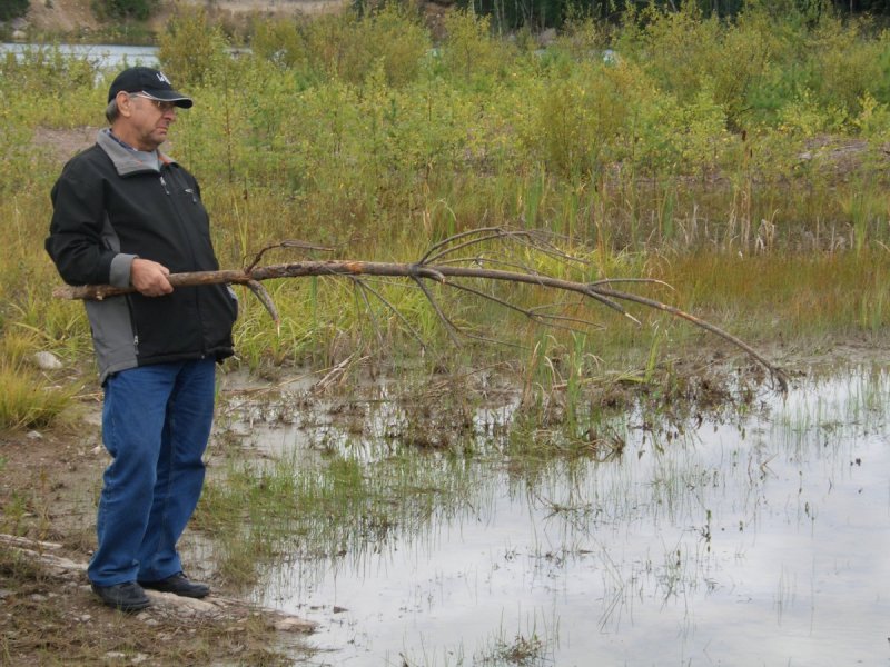 На досуге можно порыбачить... На досуге можно порыбачить...