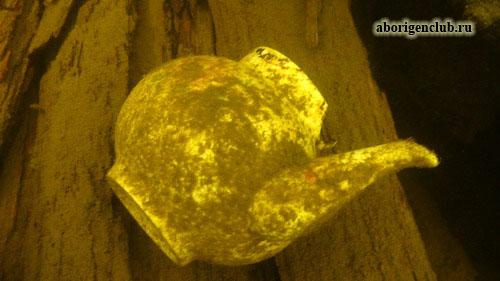 Нырялка на острове Ю.Олений Нырялка на острове Ю.Олений