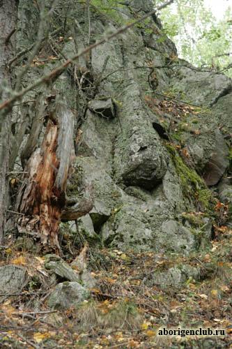 Колгостров (лик лешего) Колгостров (лик лешего)