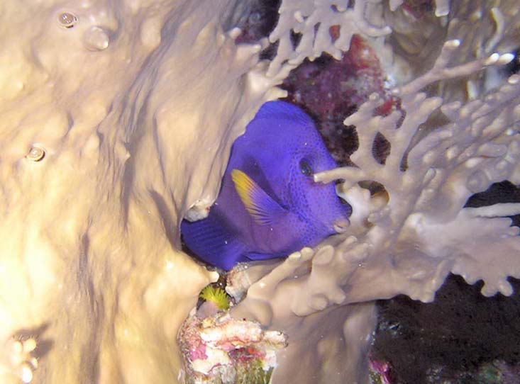 Сонное царство Сонное царство