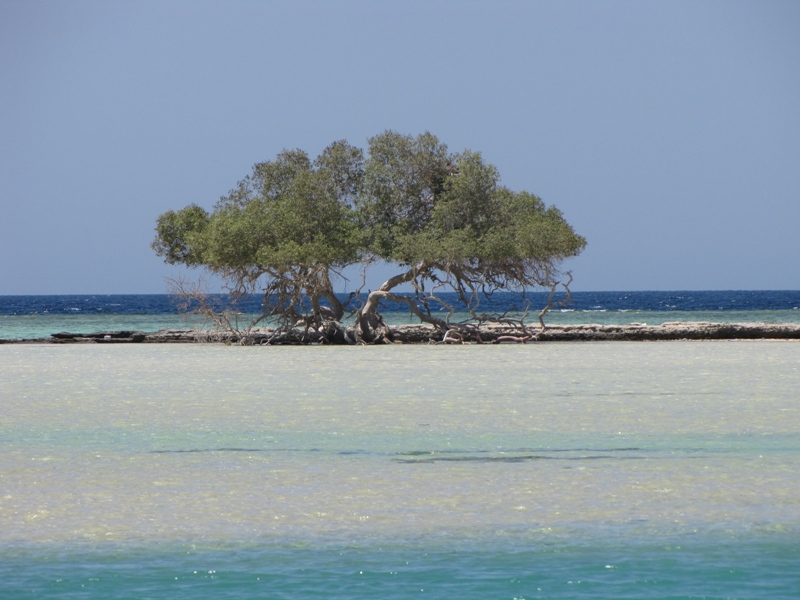 Abu Gassum Abu Gassum