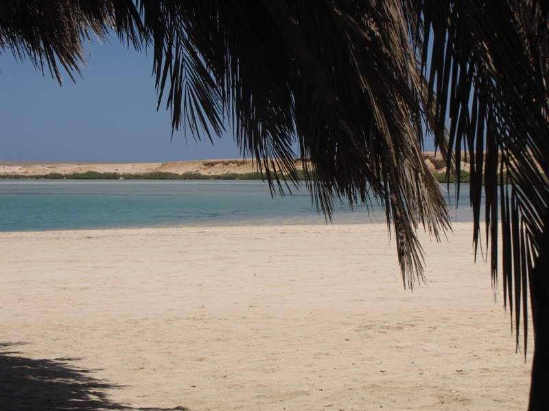 Abu Gassum Abu Gassum