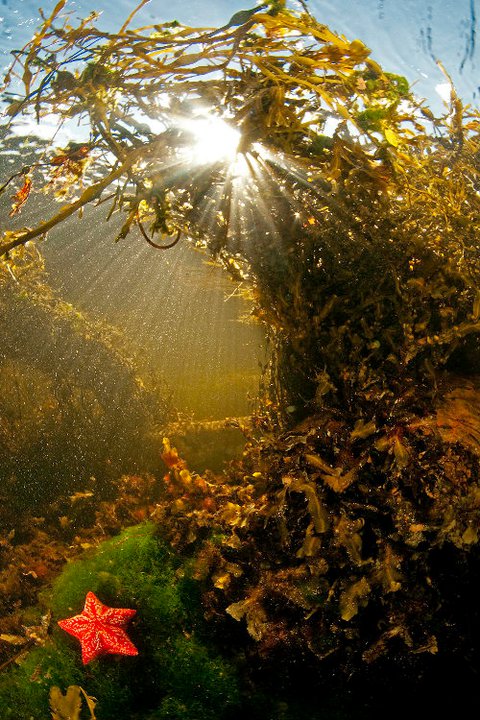 гулен от лассе3 гулен от лассе3