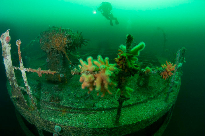 гулен от лассе6 гулен от лассе6