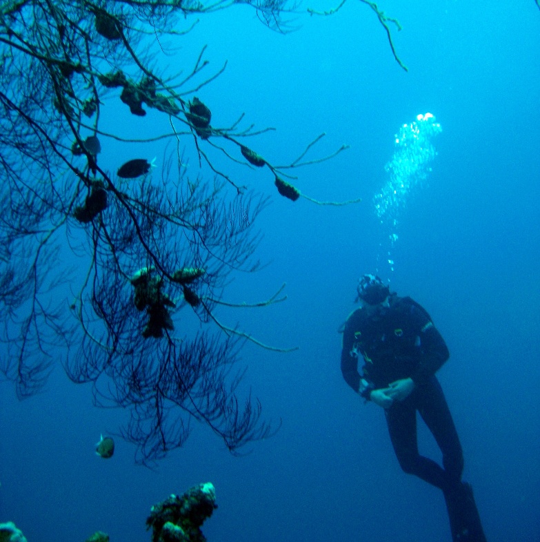 Глубокий дайв. Глубокий дайв.