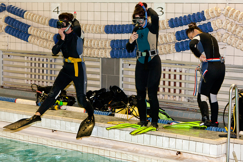 Белый тюлень. Клубный вечер. 26.09.10 Белый тюлень. Клубный вечер. 26.09.10