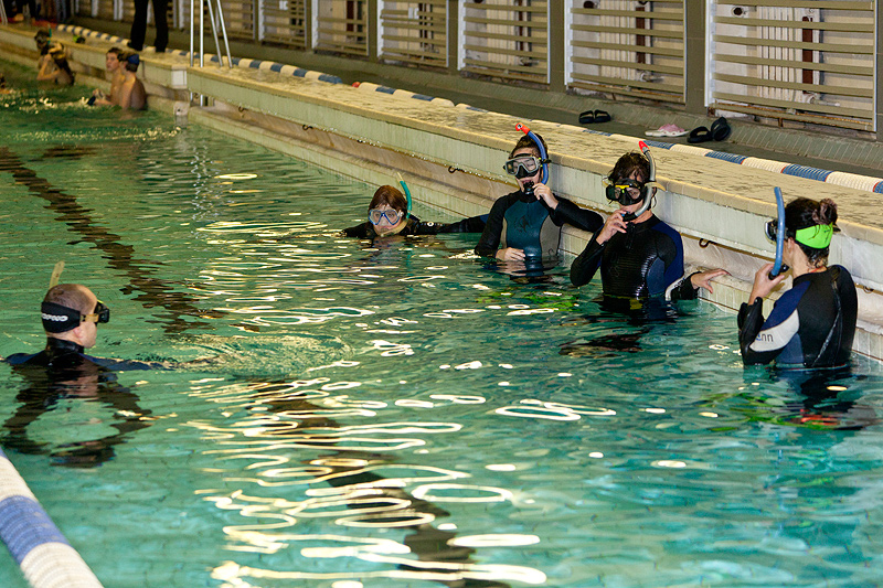 Белый тюлень. Клубный вечер. 26.09.10 Белый тюлень. Клубный вечер. 26.09.10