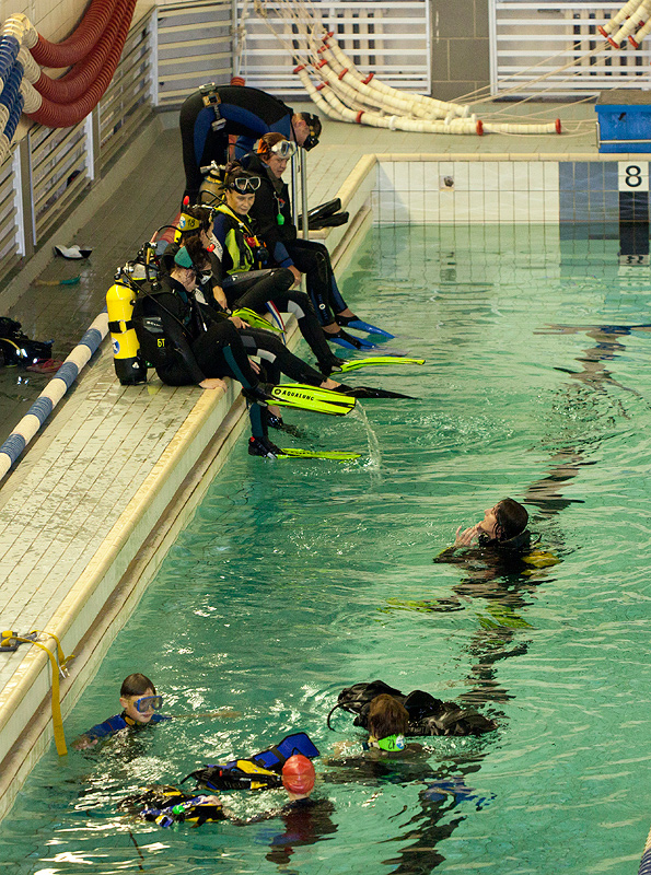 Белый тюлень. Клубный вечер. 26.09.10 Белый тюлень. Клубный вечер. 26.09.10