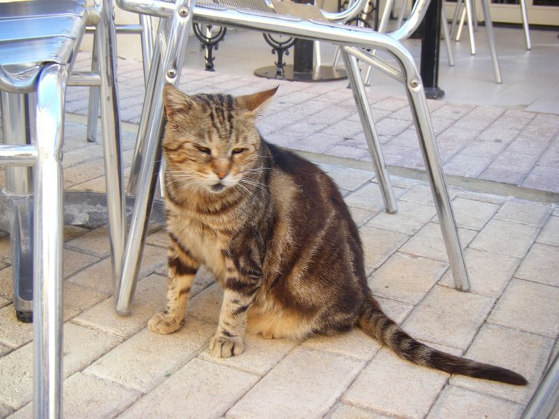 Мальта 2010 Мальта 2010