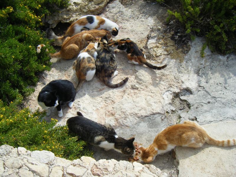 Мальта 2010 Мальта 2010