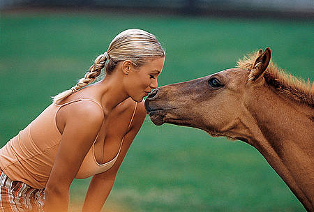 horses.jpg horses.jpg