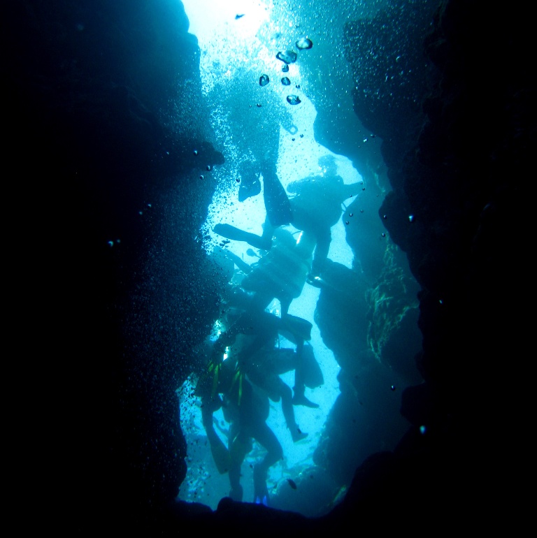 Дискотека. Дискотека.