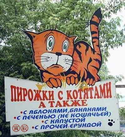 cats.jpg cats.jpg