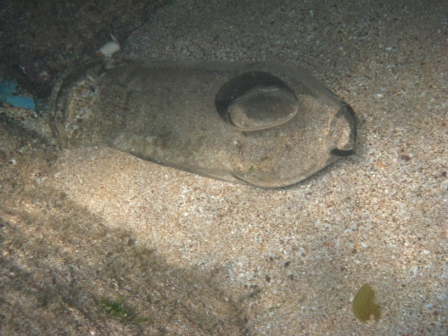 бутылка бутылка