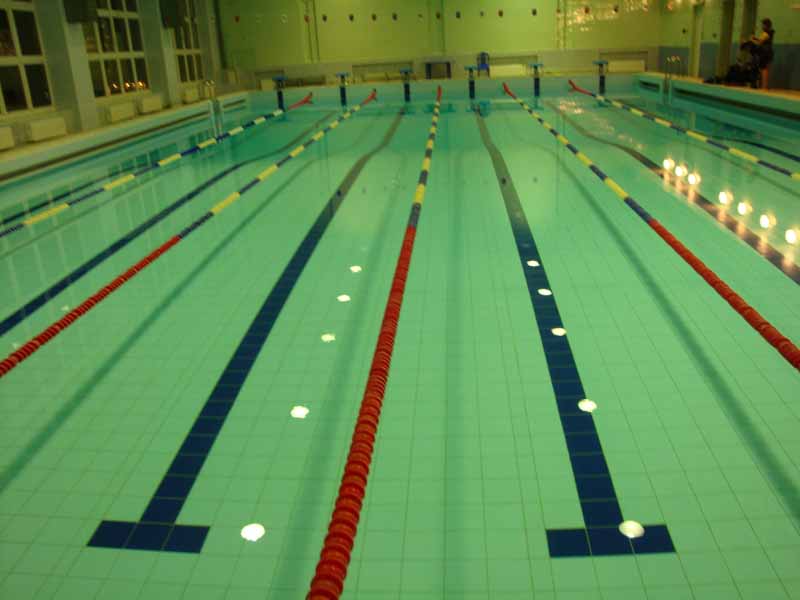 Бассейн клуба ЛИС Бассейн клуба ЛИС