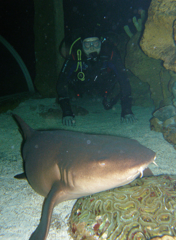 Потихоньку подкрадываюсь... Потихоньку подкрадываюсь...