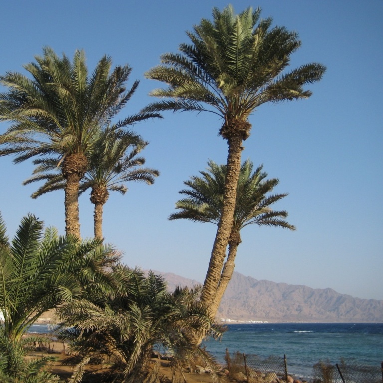 Дахаб, Ассала. Дахаб, Ассала.