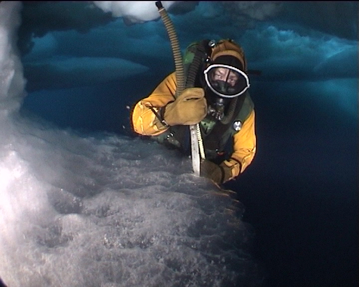 Резьба по льду. Резьба по льду.