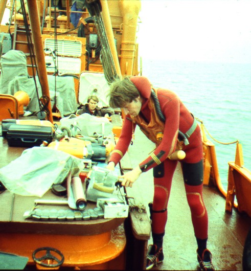 1991 год. 1991 год.