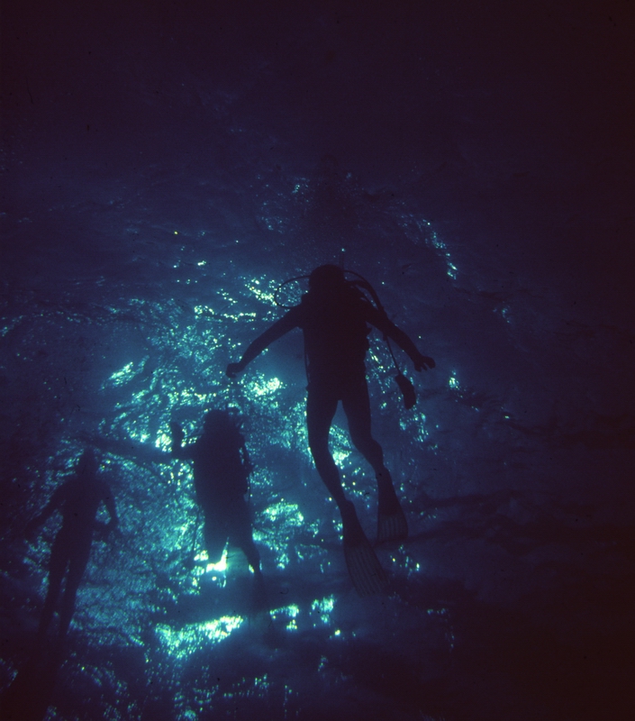 Тёркс и Кайкос 1992. Тёркс и Кайкос 1992.