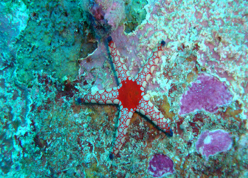 Таиланд декабрь 2010 Таиланд декабрь 2010