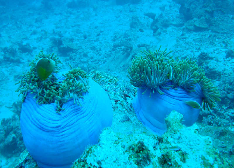 Таиланд декабрь 2010 Таиланд декабрь 2010