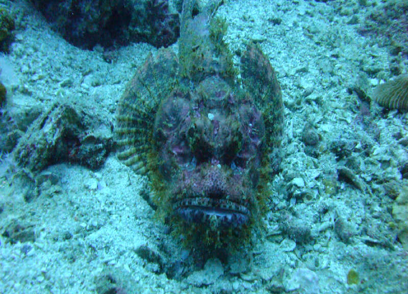 Таиланд декабрь 2010 Таиланд декабрь 2010