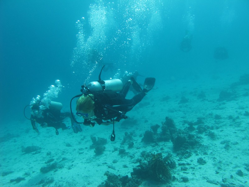 Хургада 01_11 Хургада 01_11