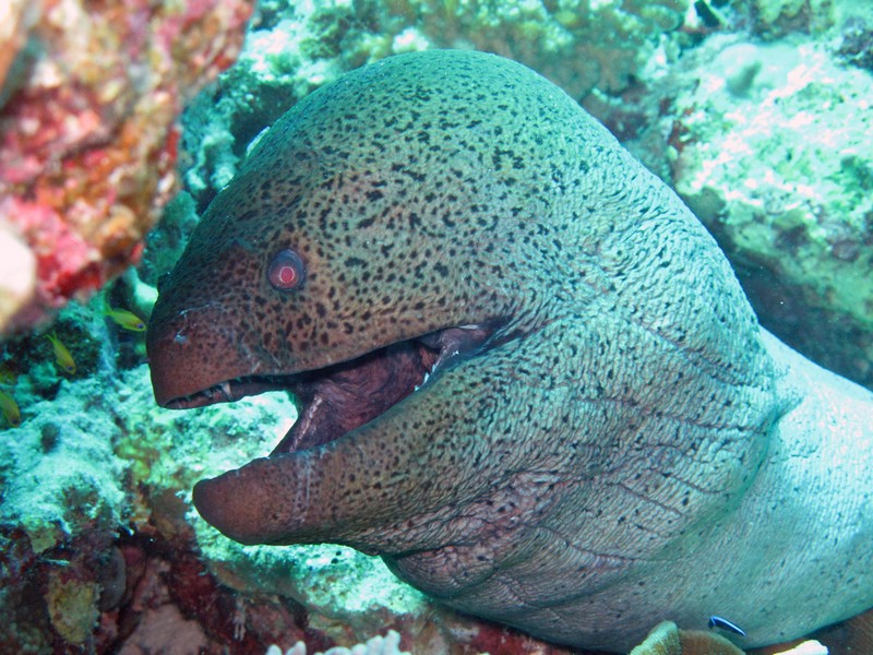 Хургада 01_11 Хургада 01_11