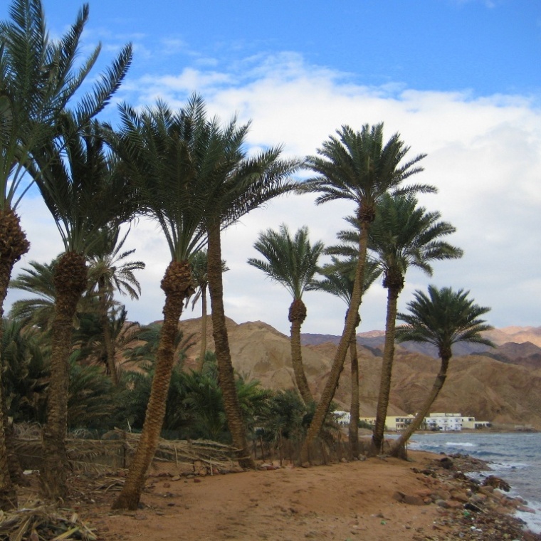 Дахаб после дождя. Дахаб после дождя.