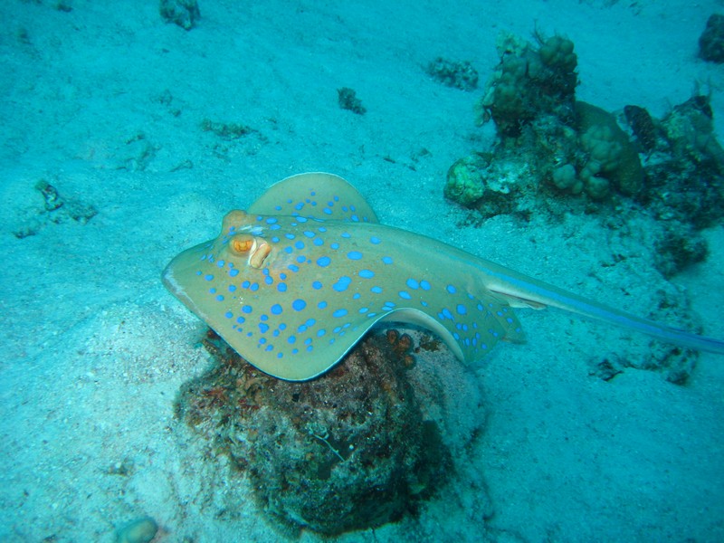 Хургада 01_11 Хургада 01_11