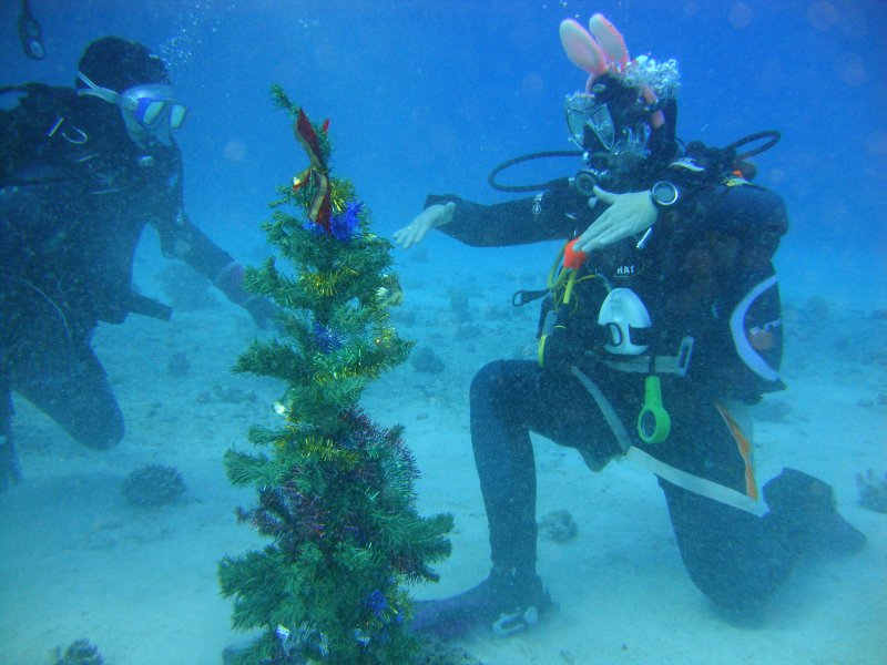 Снегурочка и ёлка Снегурочка и ёлка