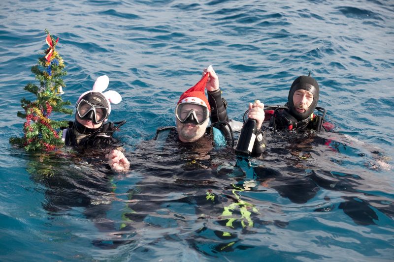 Поддержка Поддержка