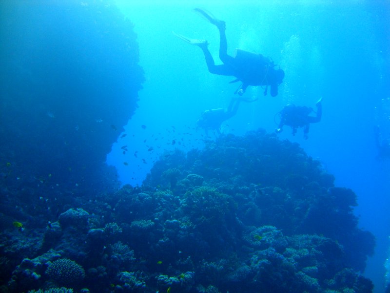 Коралловые холмы Коралловые холмы