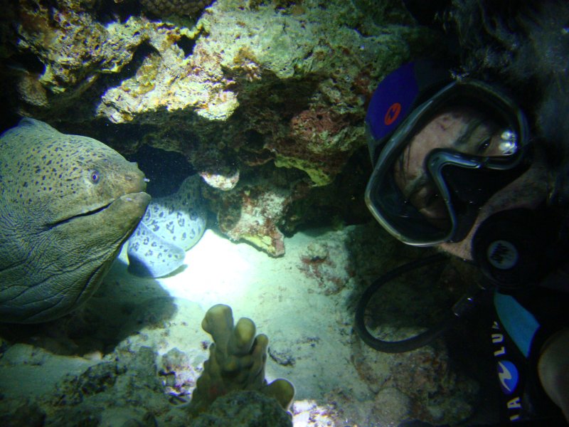 Близнецы-братья Близнецы-братья