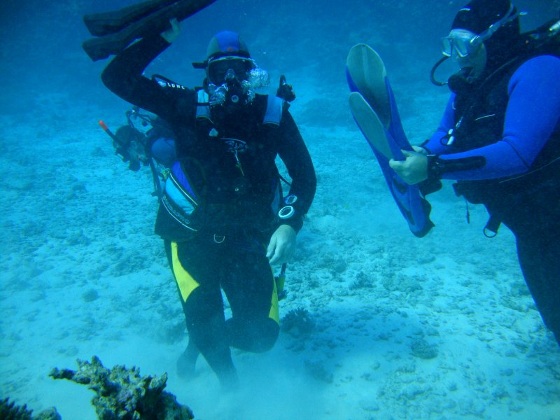 Порвал я носочки на белом песочке! Порвал я носочки на белом песочке!