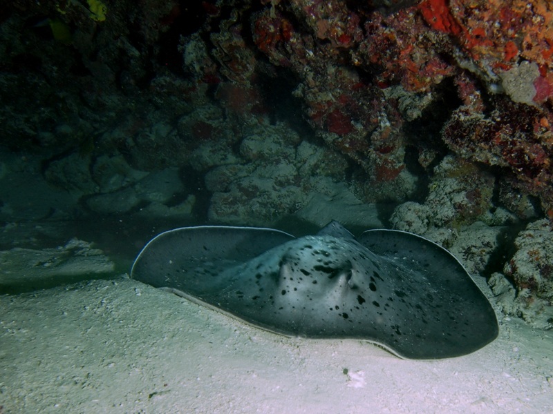 http://www.морис.com/index.php/o-pabe http://www.морис.com/index.php/o-pabe