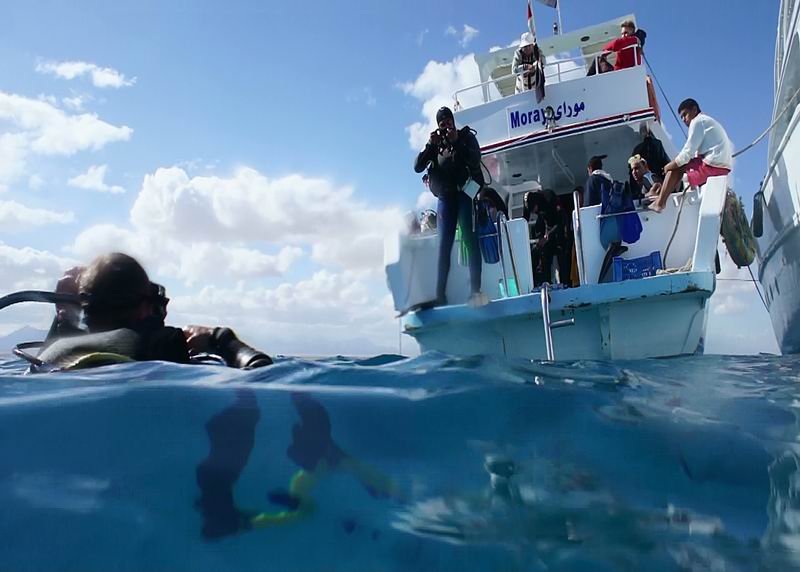 Кинь верёвочку! Кинь верёвочку!