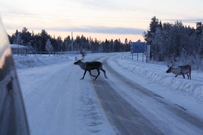 Норд Кап Норд Кап