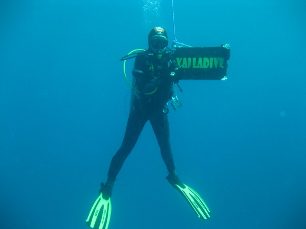 НГ 2011 Хургада НГ 2011 Хургада