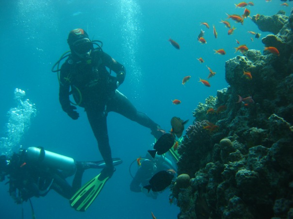 НГ 2011 Хургада НГ 2011 Хургада