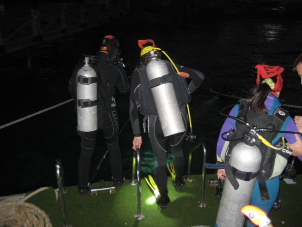 НГ 2011 Хургада НГ 2011 Хургада