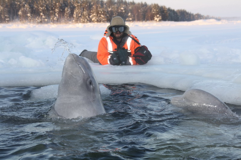 ПК 24.02.2011 ПК 24.02.2011