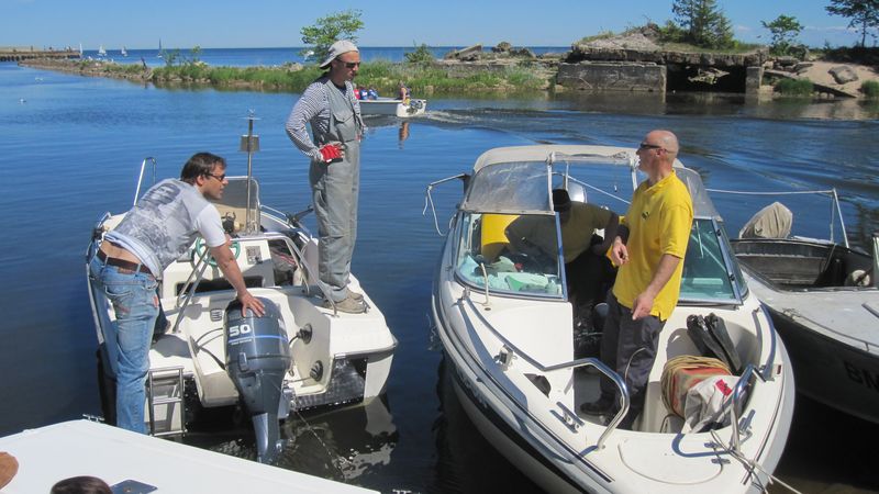 рассуждалки рассуждалки