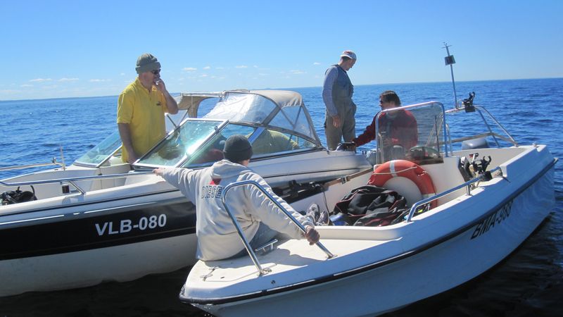 посмотрелки посмотрелки