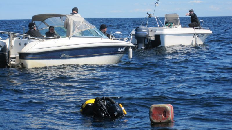 Там что-то есть! Там что-то есть!