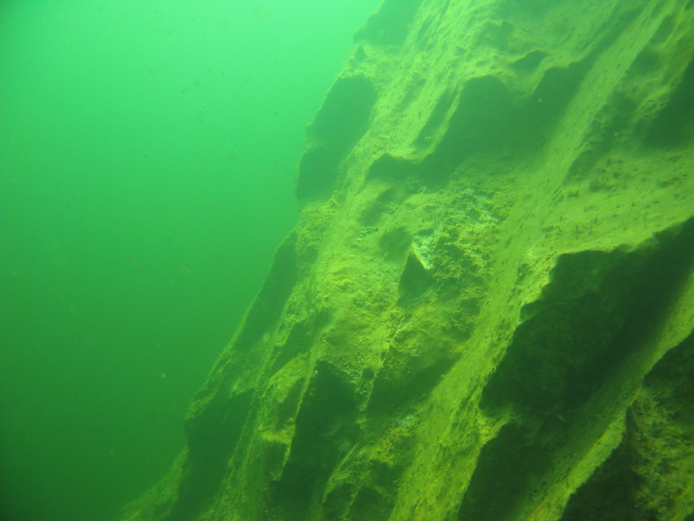 Мраморник 2010 Мраморник 2010